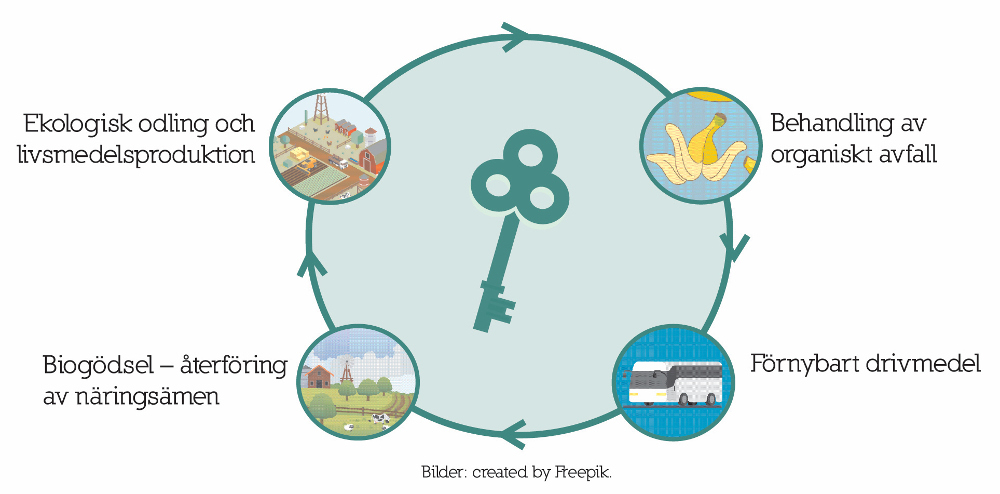 Svensk biogas nyckeln till cirkulär ekonomi